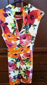 Cache Floral Dress